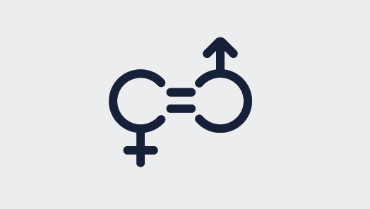 Gender Equity Index